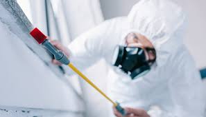 Best Pest Exclusion Services  in Pierson, FL